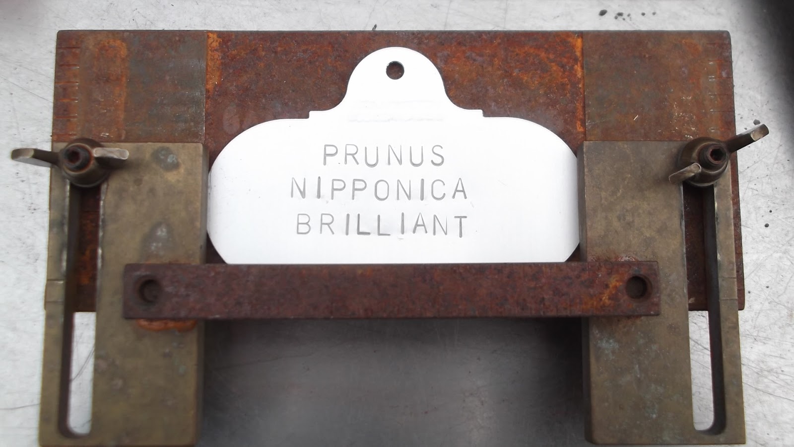 Worcester College Gardeners 20092018 Aluminium Plant Labels