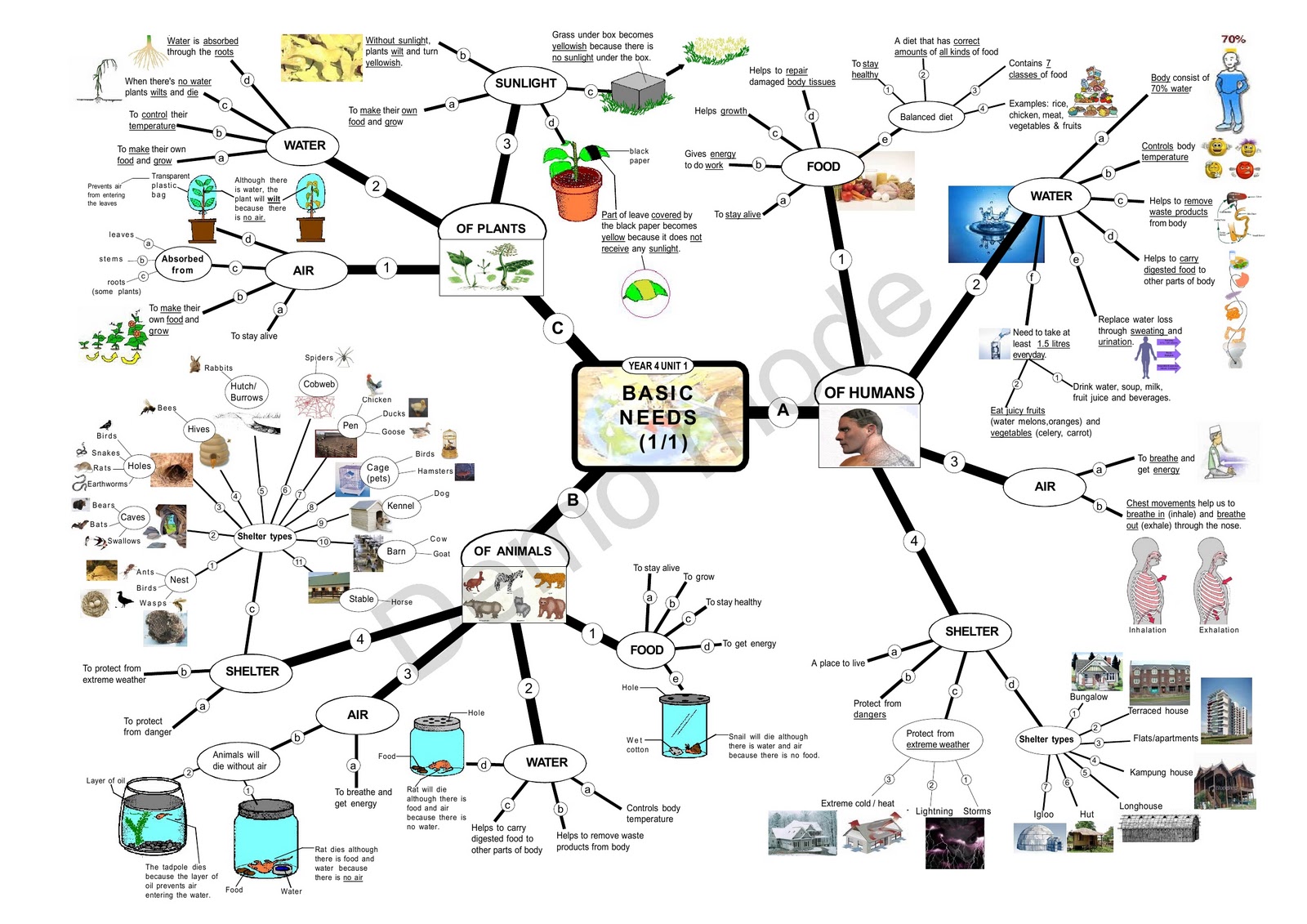 Chei Yin's blog: Mind Map For Basic Needs