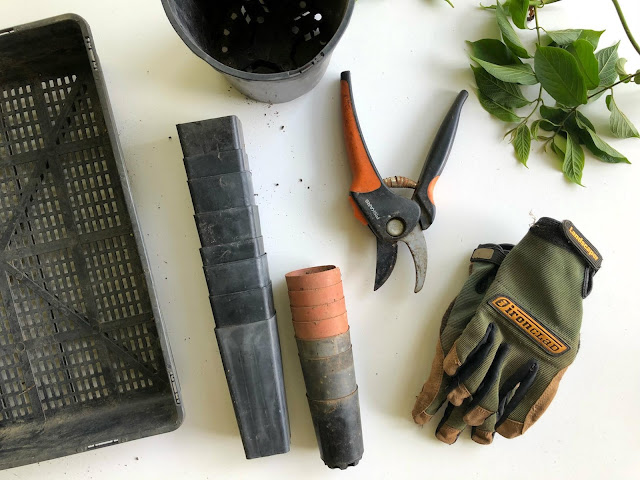 Flat lay showing garden tools, pots and plants