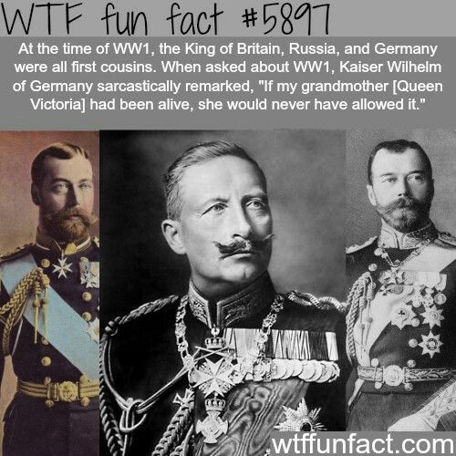 50 RANDOM WTF FACTS IN YOUR FACE THAT WILL FRY YOUR BRAIN | Amazing WTF ...