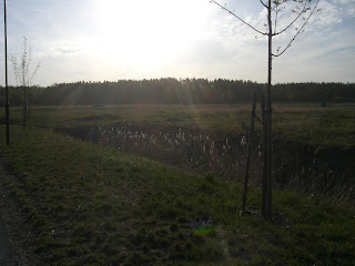 Morgonpromenad%2B%25281%2529 - Dagens morgonpromenad