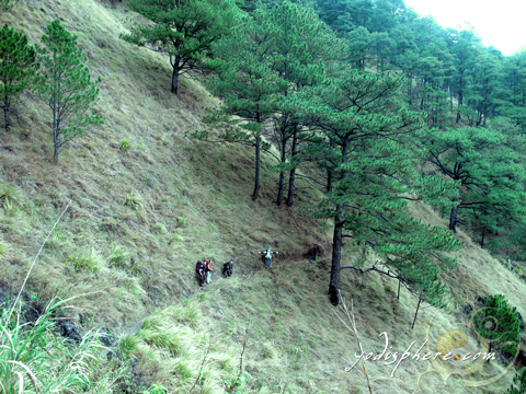 Akiki trail passing a scenice slope 