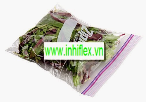 In túi Zipper các loại 27