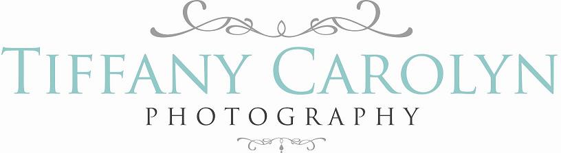 Tiffany Carolyn Photography - Jacksonville Family Photographer 