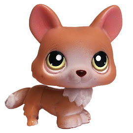 Littlest Pet Shop Pet Pairs Corgi (#183) Pet