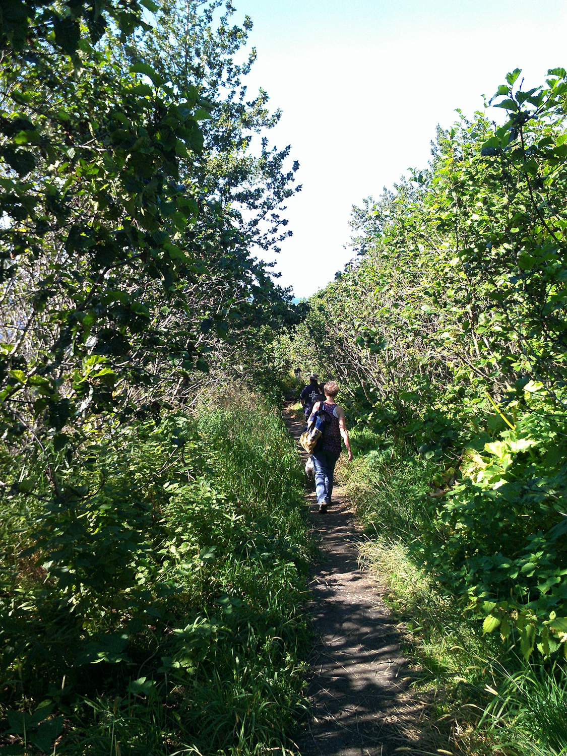 Oh, The Places We Went Homer, AK Activities