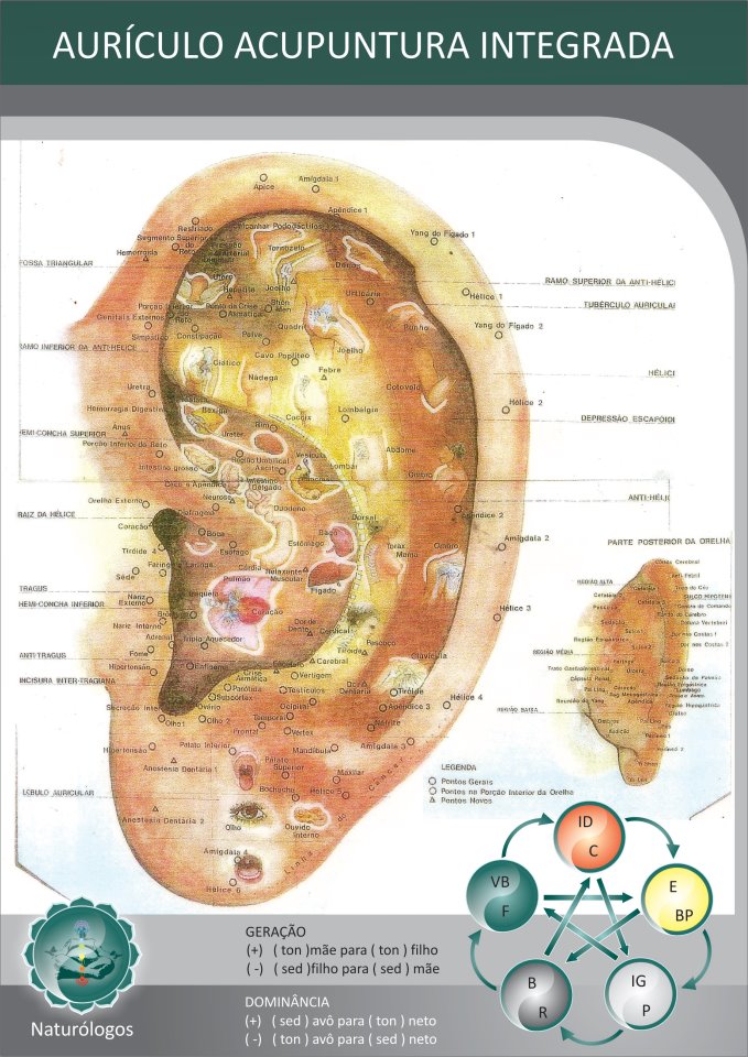 Pr Clinica DF Auriculoterapia