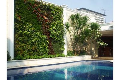 maygunrifanto: Vertikal Garden