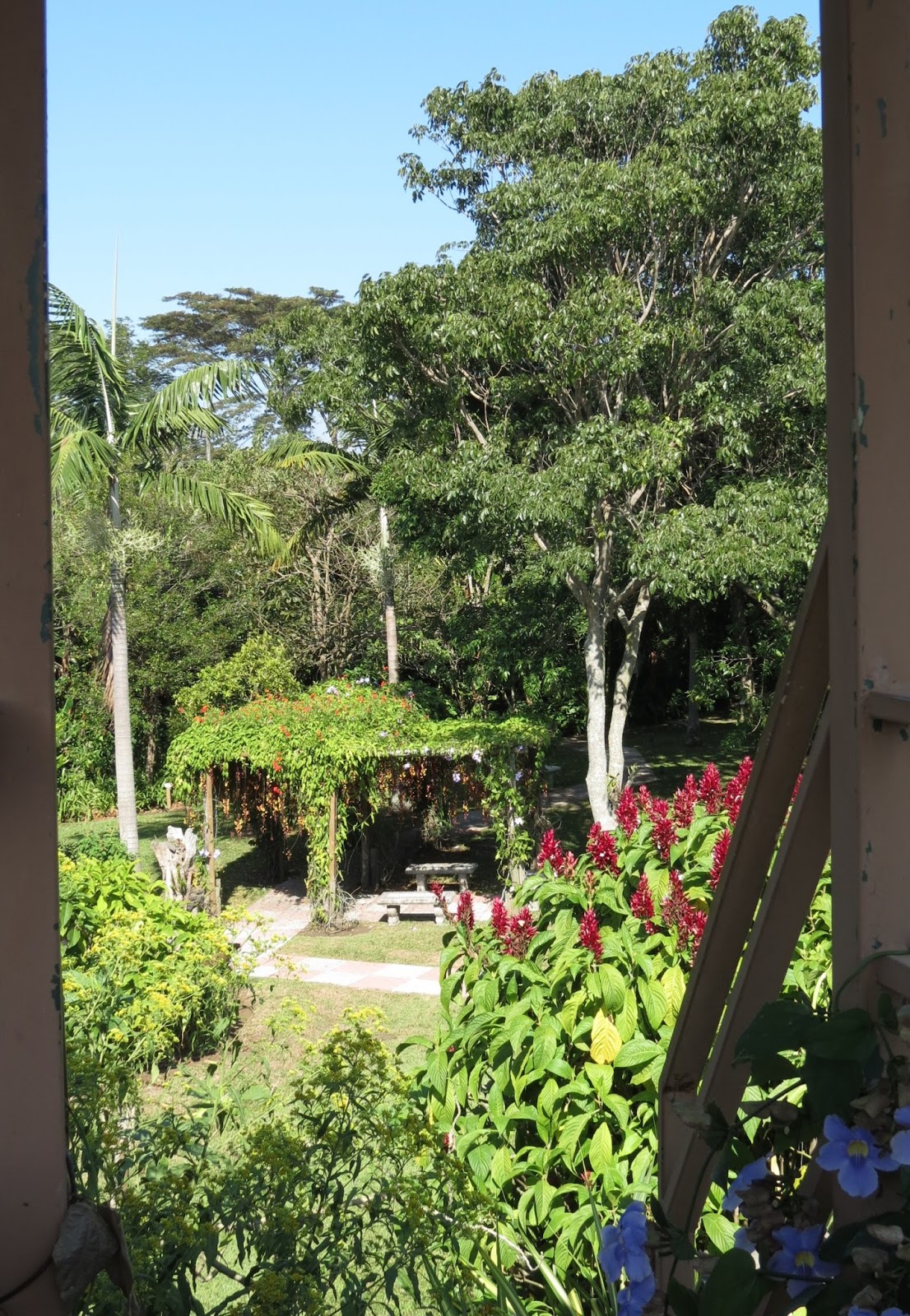 Hotel Bougainvillea, Santo Domingo de Heredia, Costa Rica Travels