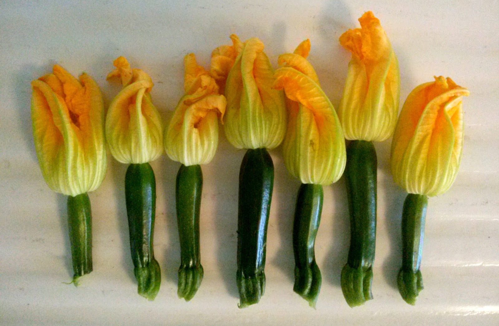 The Farmer's Daughter SUMMER SQUASH and BLOSSOMS