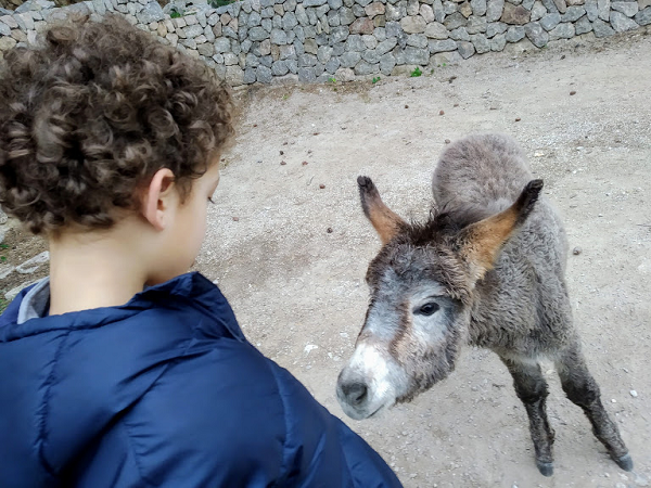 excursiones en Mallorca
