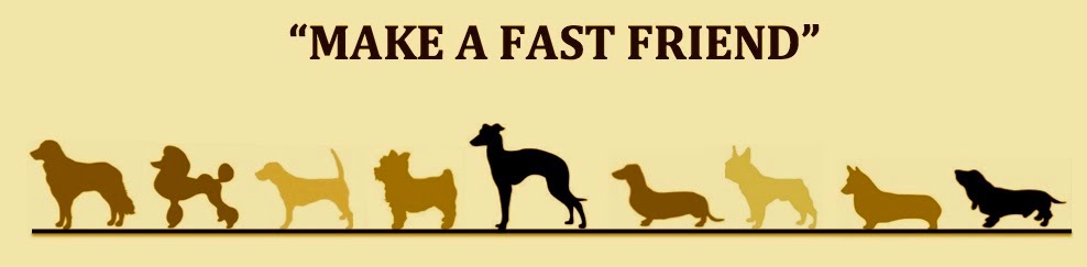 "Make a fast friend"