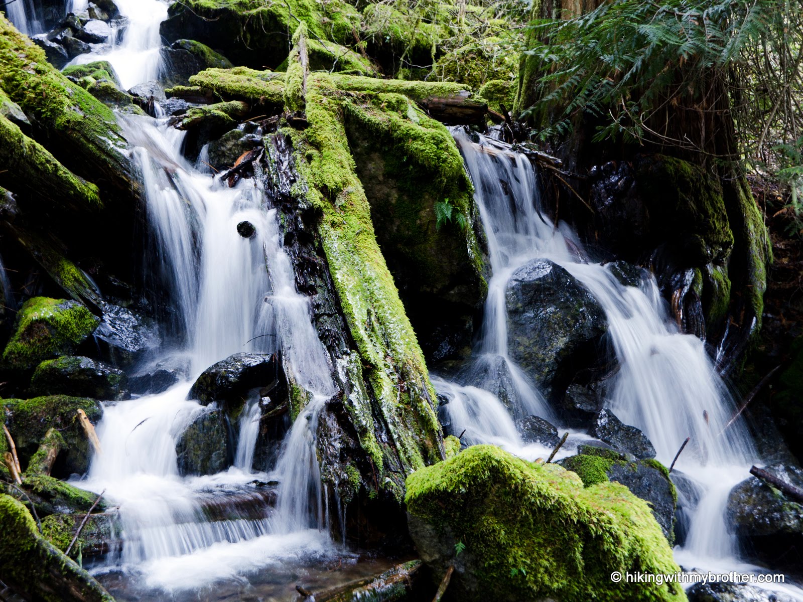 Skookum Falls via Skookum Flats Trail 1194 Hiking with my Brother