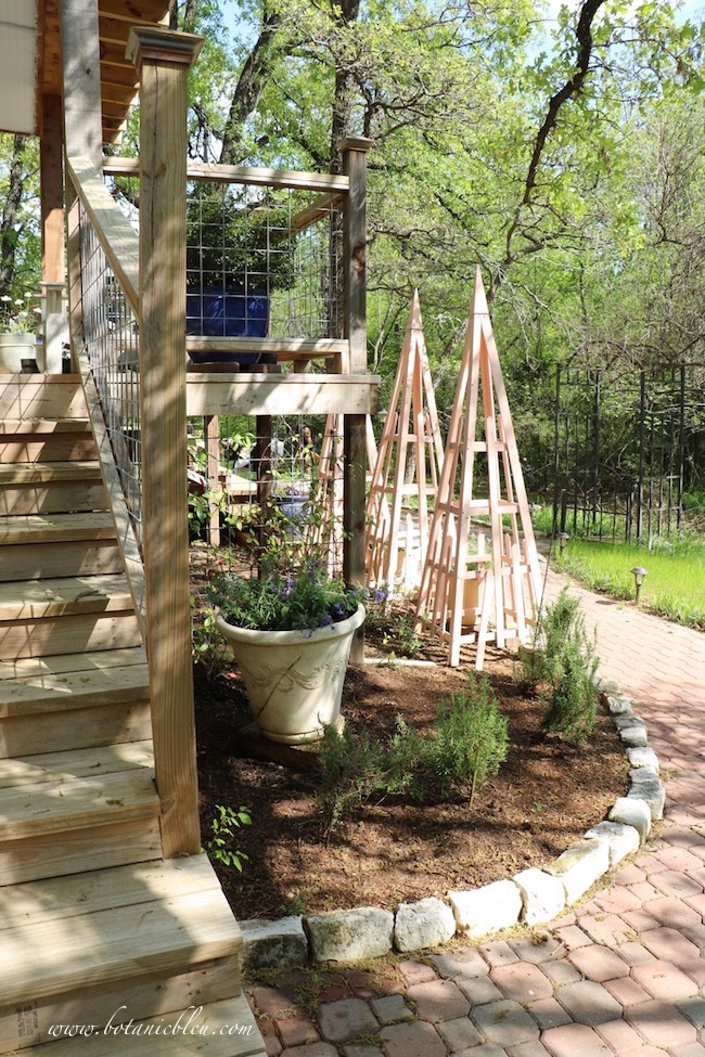 French Country Peach Tuteur Trellises capture your attention as soon as enter the walkway