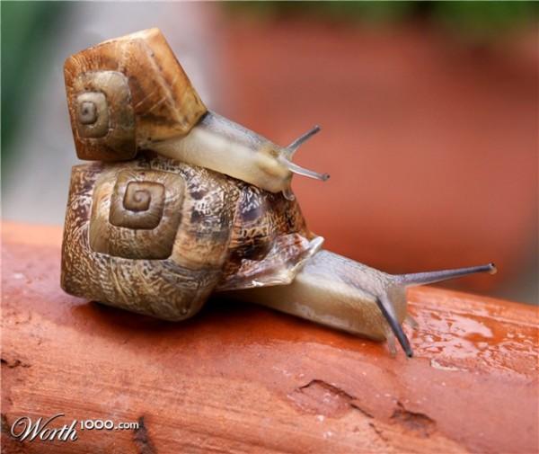 cubic photo manipulation