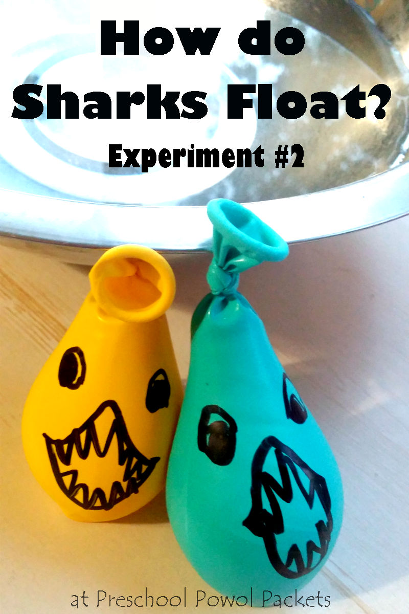 How Sharks Float Experiment: Part 2 | Preschool Powol Packets