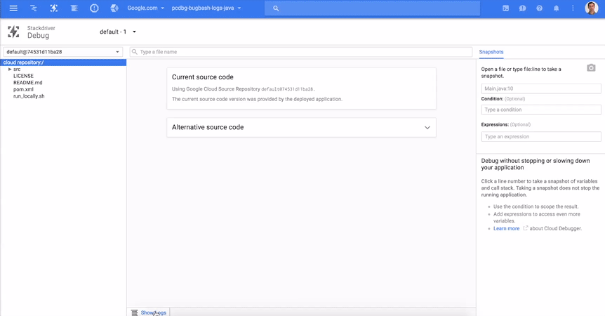 application logs