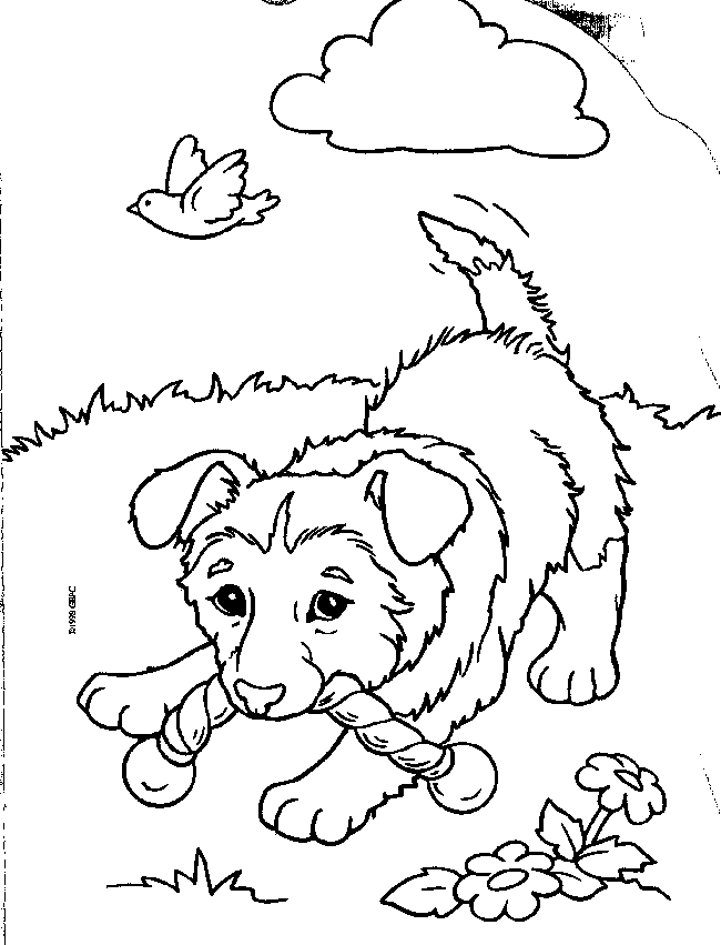 Animals Coloring Pages Cute Puppy Playing Kids