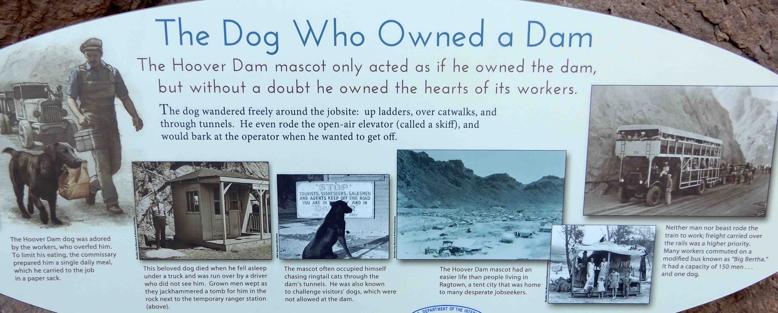 Cat Patches Hoover Dam