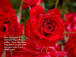 quotes wallpapers backgrounds roses romantic pretty tag