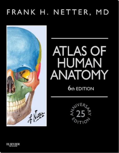 netter atlas of human anatomy pdf kickass netter atlas of human anatomy pdf kickass