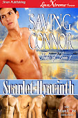 Tides of Love 1: Saving Connor