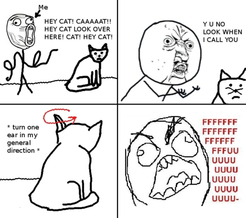 Rage cat. Кот шипит. Коты мемы. Коты мемы с надписями. Rage cat.