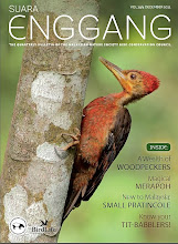 Suara Enggang - Malaysia's premier birding magazine!