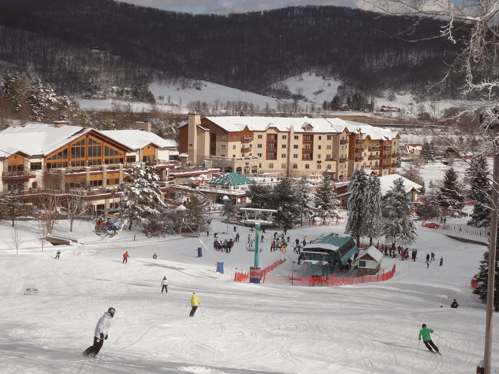 Jamison Springs Farm Elma, New York