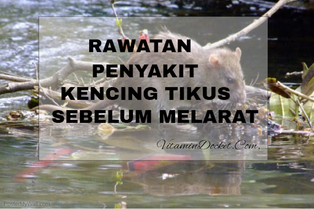 rawatan penyakit kencing tikus