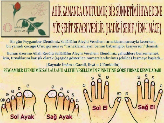 Sünnete göre el ve ayakların tırnak kesimi