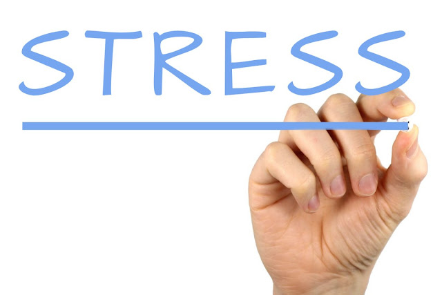xara menghilangkan stress dan menyelesaikan berbagai masalah hidup