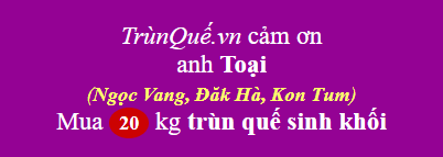 Trùn quế Ngọc Vang, Đăk Hà, Kon Tum