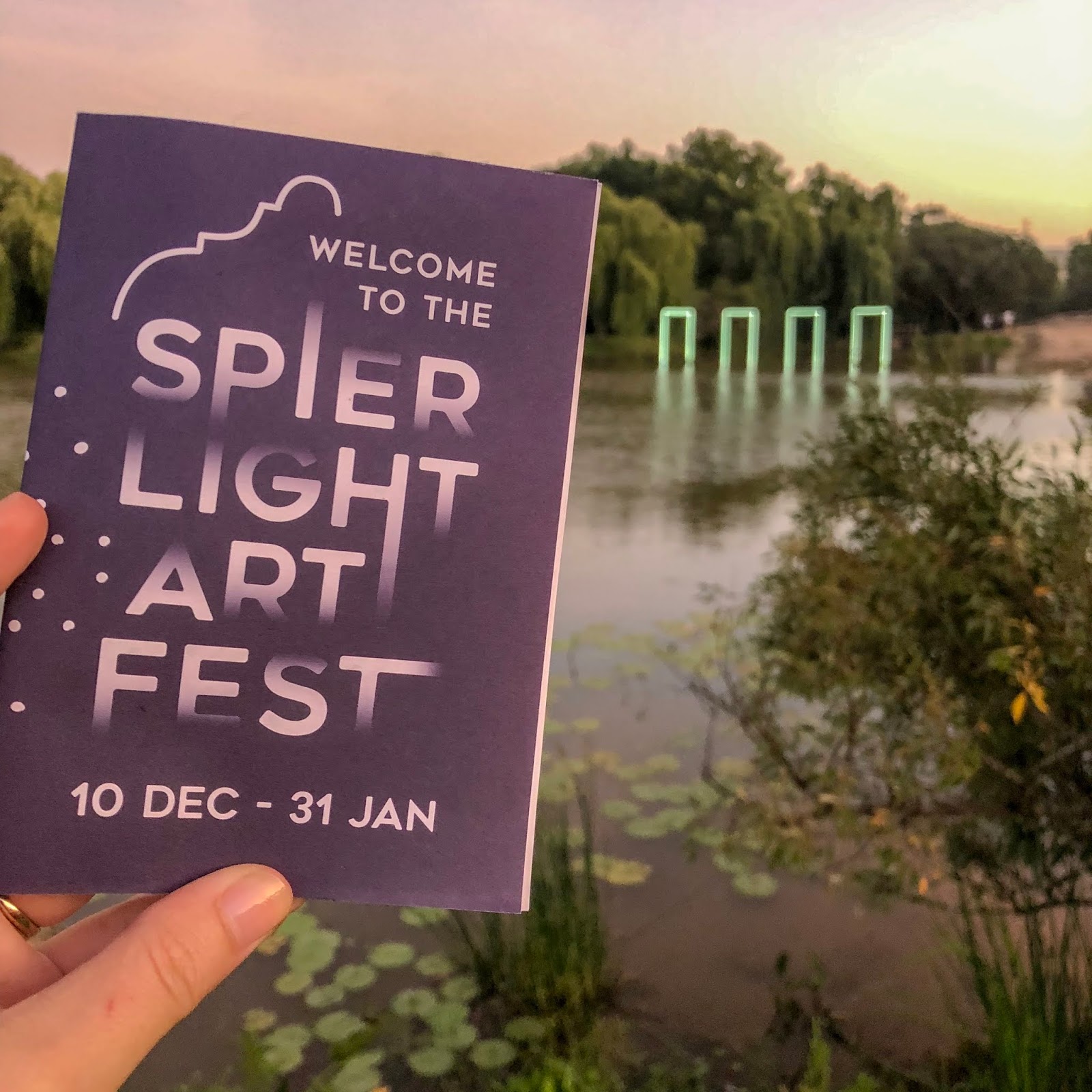 Spier Light Art Exhibition / Gee Whiskers!