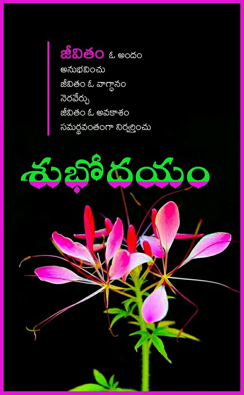 good morning images in telugu