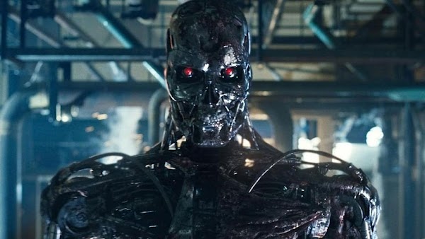 Terminator retrasará su estreno