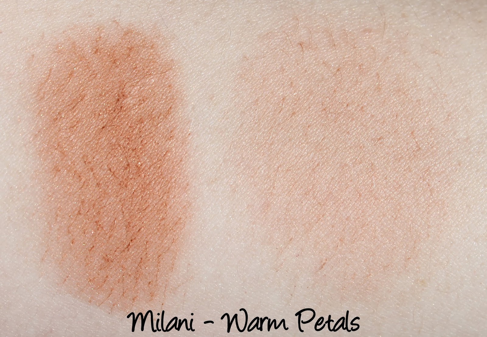 Milani Powder Blush - Warm Petals Swatch & Review