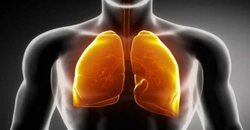 Os alimentos mais eficientes para limpar seus pulmões (com base em pesquisas)