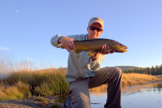 Gibbon River brown trout in Yellowstone