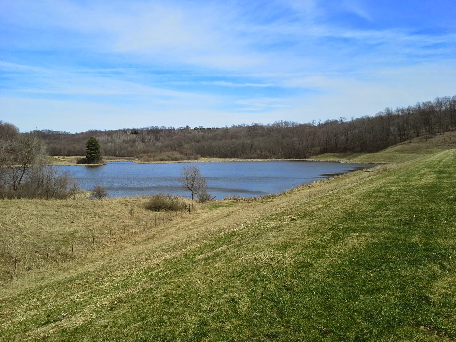 Trail Run Wisconsin Norwalk Russ's Trail