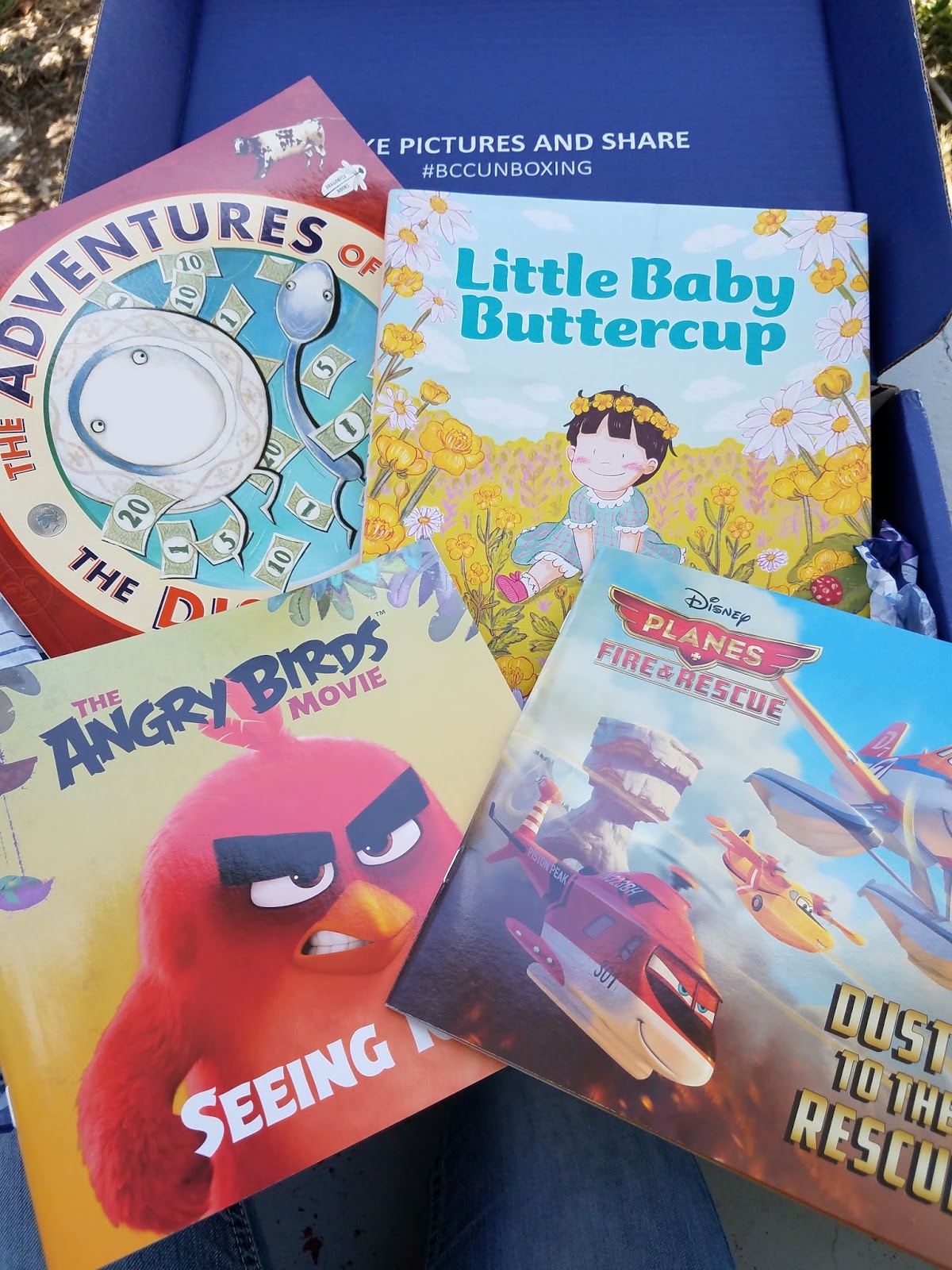 The ABCD Diaries Monthly Subscription Box for Book