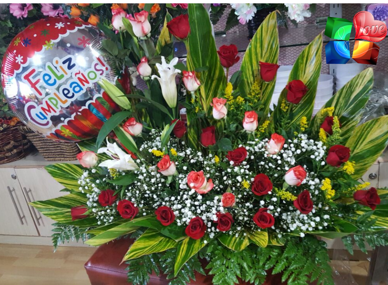 AGENCIA Y DISTRIBUIDORA OCCIDENTAL DISTRIBUIDORA OCCIDENTAL LA ENTRADA