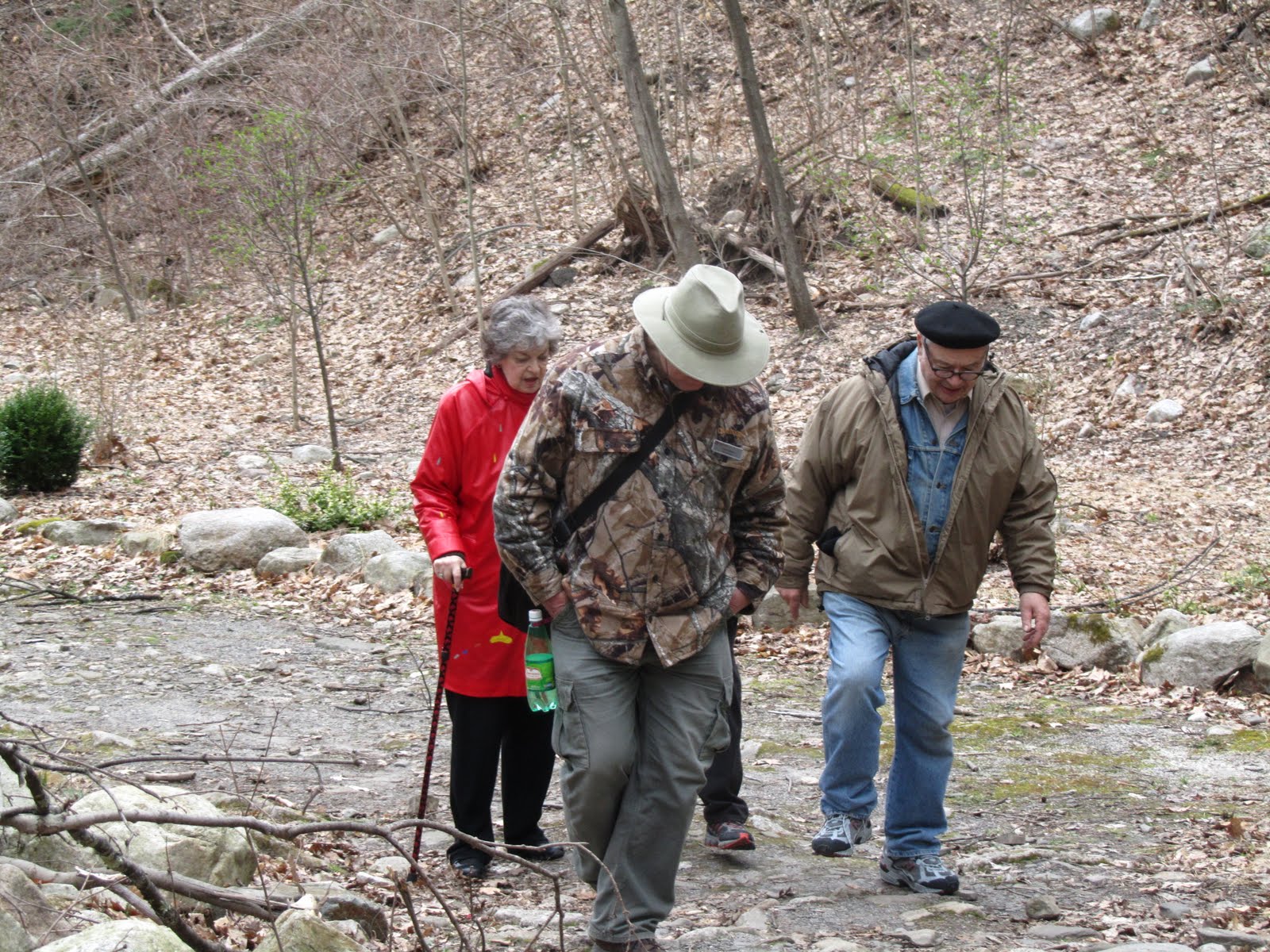 NY's Funniest Rabbi Elite Dimensions Passover Tour At The Honor's