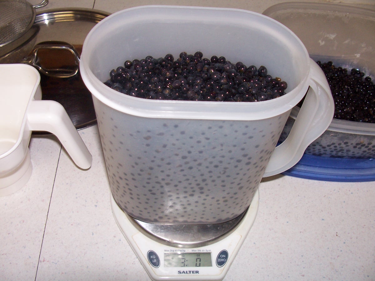 Krazo Acres Making Wild Grape Juice