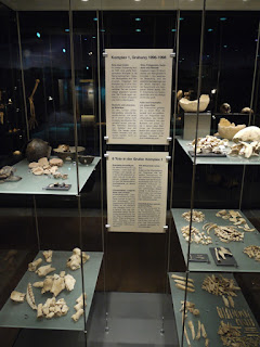 Menschen-, Tierknochen, Keramik und Geräte aus den Grubenringen