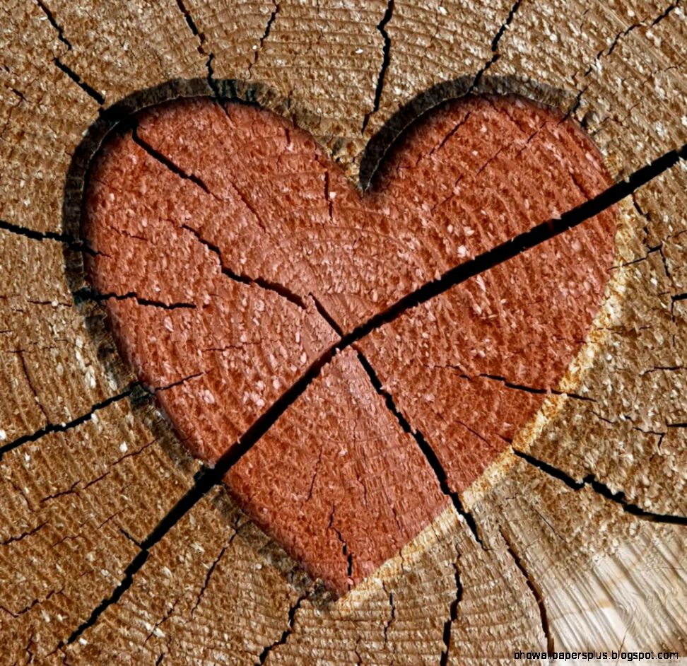 Heart Engraved Log HD desktop wallpaper  High Definition