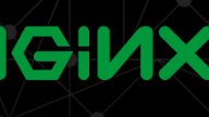 Nginx auth basic. Nginx. nginx logo. аватарка nginx. nginx без фона.