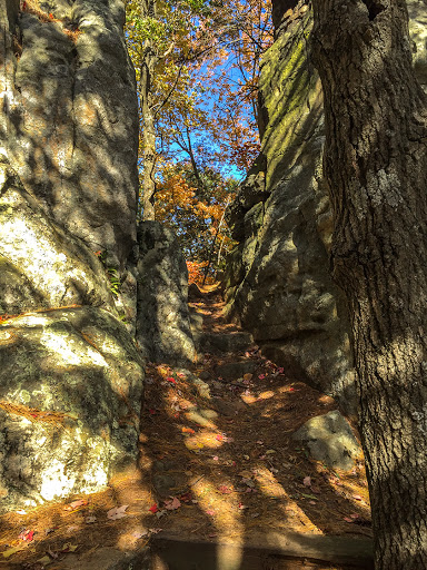 The spur trail up to the perch at Castle Mound The spur trail up to the perch at Castle Mound
