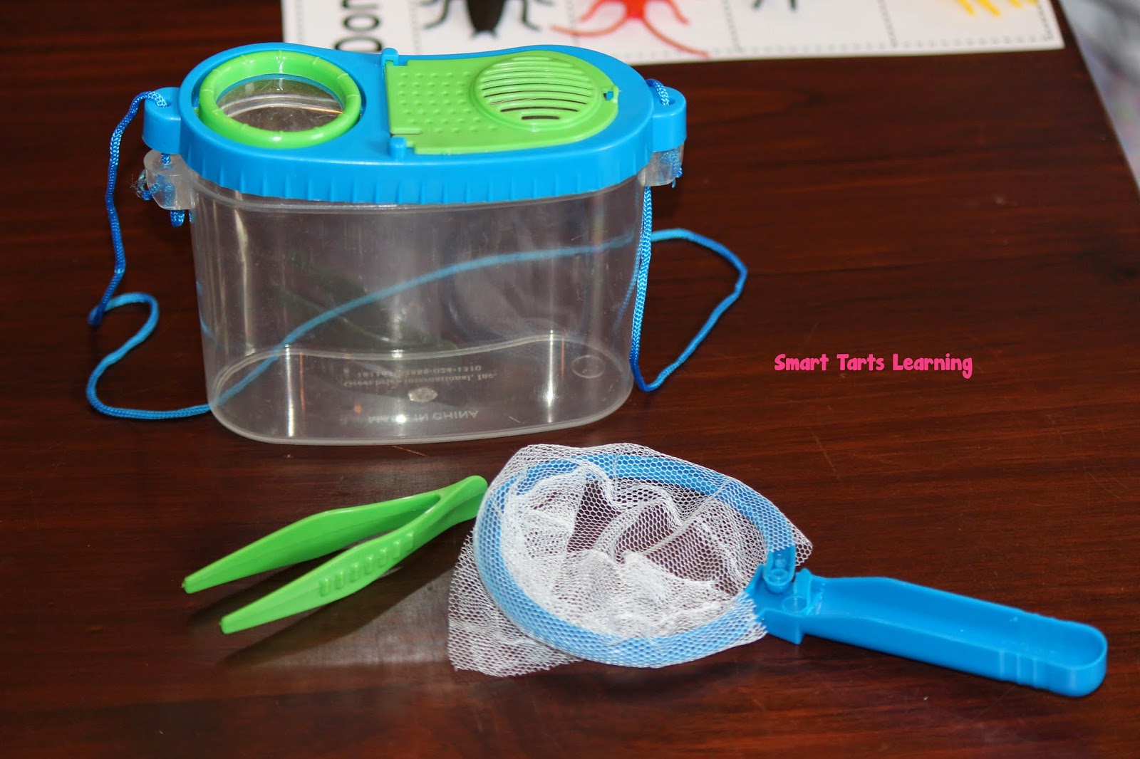 SmartTartsLearning Dollar Tree Find 6 {of 7} Don't BUG Out in Your Small Group!