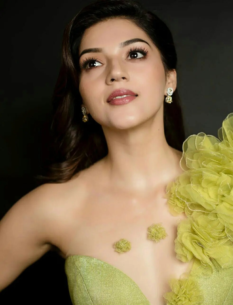 Mehreen+Pirzada+3.jpg